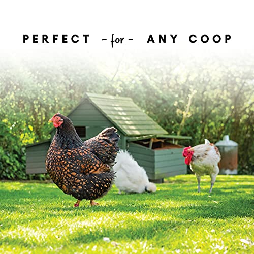 Harris Farms Free Range Hanging Poultry Feeder | Twist Lock Base | 10 Pound #TOP7