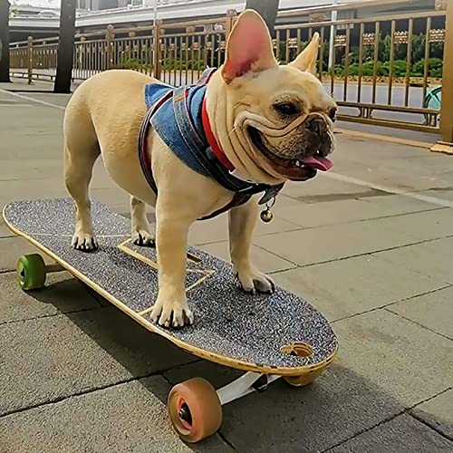 KJLYLPP Pet Skateboard with Surf Stand