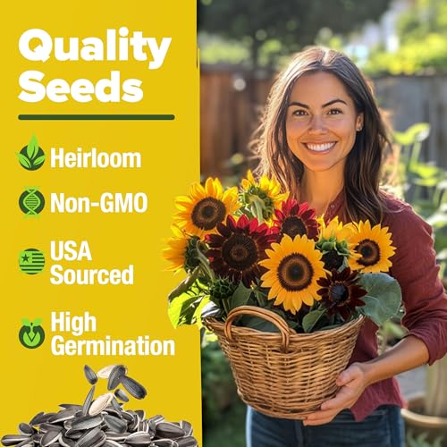 Image of HOME GROWN Sunflower Seeds for Planting | 8 Varieties |1000+ Non-GMO Sun Flower Seeds Packets to Plant: Grow Dwarf Sunflowers, Mexican Sunflowers, Wild, Lemon Queen,Autumn Beauty,Sunspot, Velvet Queen