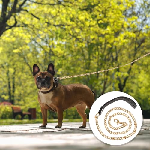 iplusmile Hundeleine Golden Metal, Goldenes Edelstahl Kettenhalsband, Goldkettenleine für große, Hunde Leine Chain mit Ledergriff Haustierleinenkette