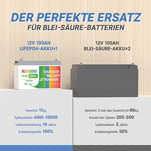 Redodo 12V 100Ah LiFePO4 Solarbatterie mit 100A BMS