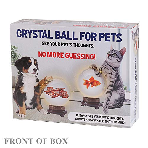 Prank Gift Box Pet Crystal Ball