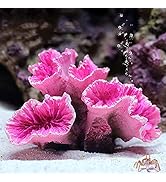 Amazon | Luottus 人工珊瑚 サンゴ 水槽 コーラル 隠れ家 オブジェ