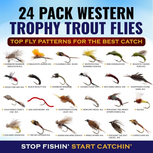 View 3