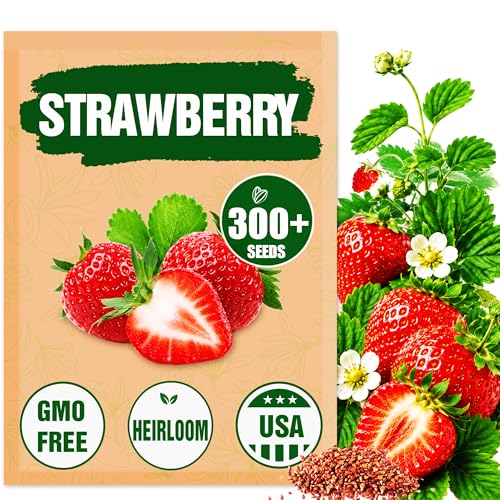 Rare Strawberry Seeds for Planting – 300 Non-GMO Heirloom Seeds - Extra Big, Juicy, Sweet Strawberries