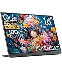Amazon.co.jp: EHOMEWEI モバイルモニター 144hz 2.5K 16インチ WQXGA