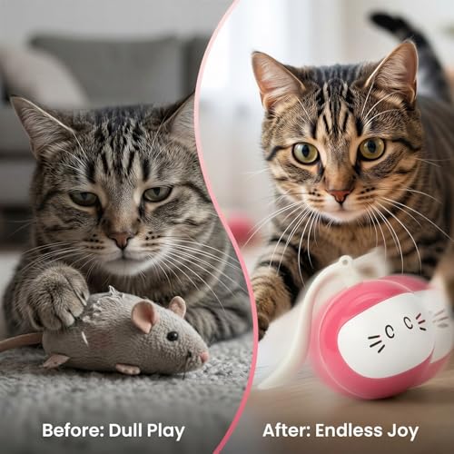 Juguete para gatos Machify inteligente bola eléctrica rosa de ejercicio interactivo 5