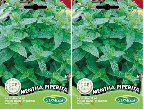 Germisem Mentha Piperita Semillas de Menta 0.2 g (Paquete de 2)