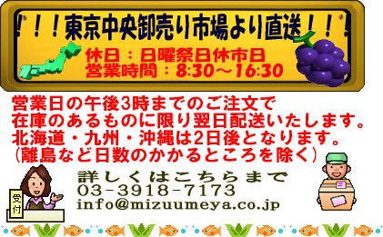 サンヨーフルーツ缶詰巨峰ぶどう12缶入り 2枚目