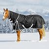 Turnout Horse Blankets Winter for Real Horses Waterproof Breathable Snow Proof Heavy Blankets 200g Fill Sheet Tear & Rip Resistant Outer Layer Adjustable Straps (75 Size)