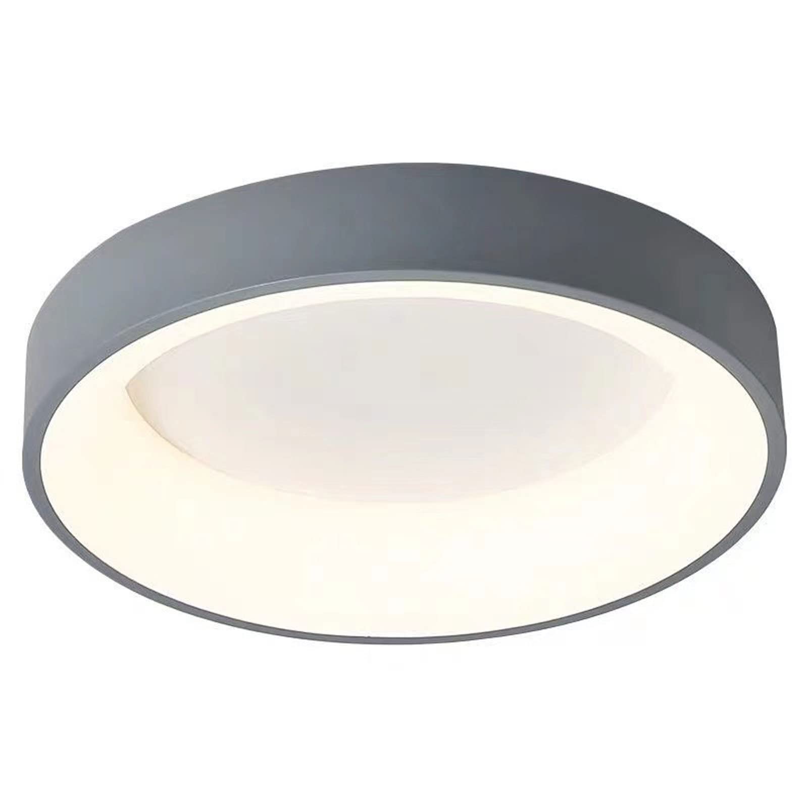 INUNT Led Lights for Bedroom，Modern LED Ceiling Light，Circular Ceiling Light，Stepless Dimming, Remote Control Switch，for Bedroom Living Room Dining Room Laundry。（Without Batteries） (Size : 30cm)