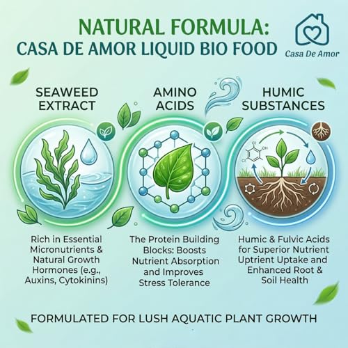 Image of Casa De Amor Bamboo Plant Food for Lucky Bamboo & Money Plants | Liquid Fertilizer for Indoor Water Plants | Growth Booster for Green Leaves & Strong Roots | 2 x 50ml (100ml Total)