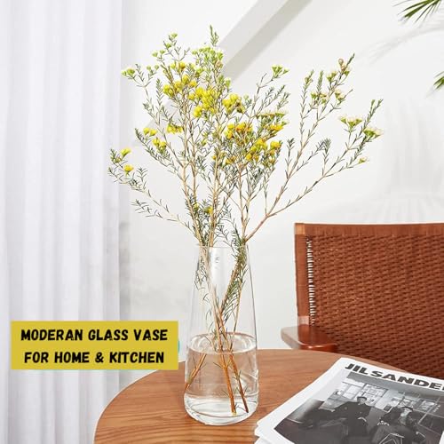 Vzmiza Premium Quality Exquisite Clear Large Tall Flower Vase 22 Cm - Home DéCor, Room Farmhouse, Centerpiece, Patented Design - 4