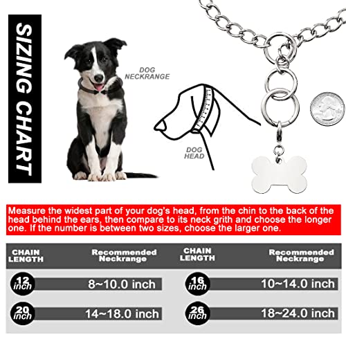 W/W Lifetime Chain Dog Collar Heavy Duty Walking Gold Dog Collar With Ring Clasp Hook 10Mm 18K Cuban Link Chain Collar Adjustable Stainless Steel Metal Chain Collar(Silver, 10Mm, 12") #TOP5