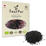 SaatPur