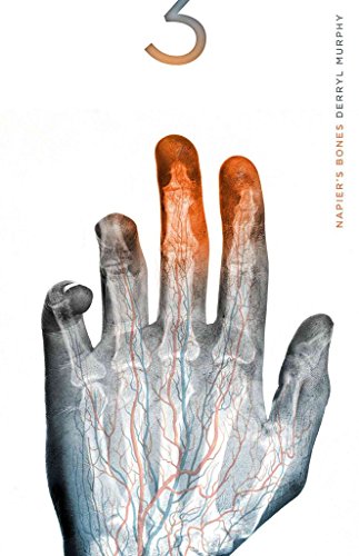 Napier's Bones view 2