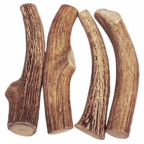 WhiteTail Naturals | 1 Pound (lb) Bundle | Extra Hard Axis Deer Antlers for Dogs | Naturally Shed Organic Antler Dog Chews | for Aggressive Chewers Only - Thumbnail 2