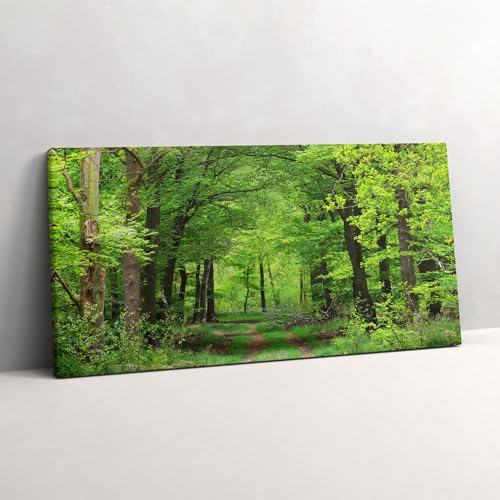 Toile chemin forestier sous les arbres pour créer un salon chaleureux et relaxant