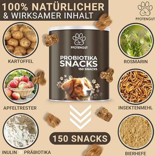 PFOTENGUT® Verdauungssnacks für Hunde [Made IN Germany] - 150 Snacks zur Förderung der Darmflora & Verdauung - Leckerlis zur Stärkung des Immunsystems - Probiotika Hund - Darmflora Aufbau Hund