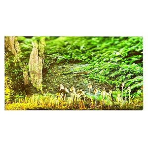 Keukenvloermat, flanellen deurmat met bosprint Badkamermat voor thuiskantooringangen Deuren(80 * 50cm)