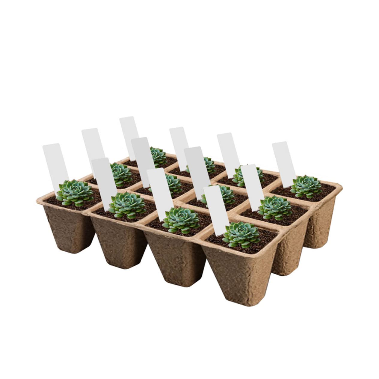 IWOWHERO 1Set Nursery Cup for Plant Planting Containers Inserts for Flower and Vegetable Transplanting