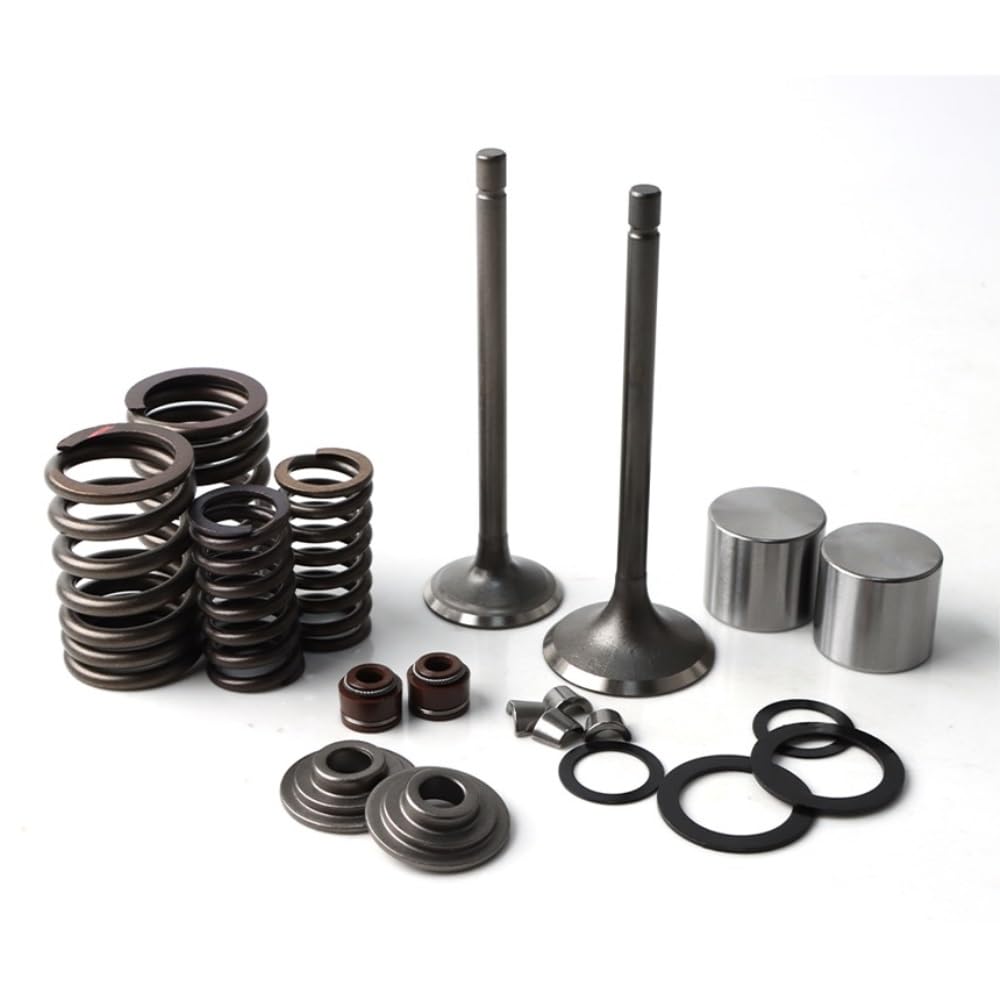 Intake Exhaust Valves Fit for Honda TRX250 TRX250X TRX250EX TRX250TM 2009 ATV Engine Replacement Parts