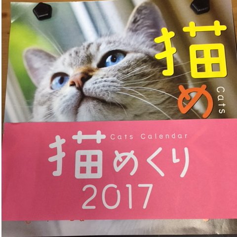 猫めくりカレンダー 2017