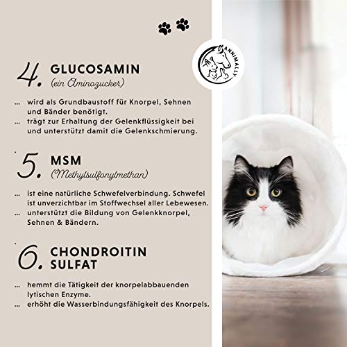 Annimally Gelenk Pulver für Katzen I 120g für 4 Monate - Die Alternative zu Gelenktabletten - Gelenkfit Pulver mit Grünlippmuschel, MSM, Teufelskralle, Taurin, Glucosamin und Kurkuma
