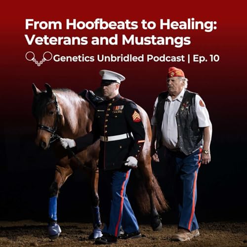 From Hoofbeats to Healing: Veterans and Mustangs
