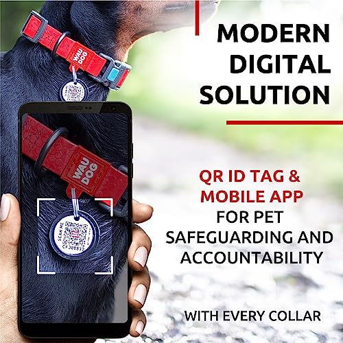 Collar impermeable para perro WAUDOG ajustable miniatura 3