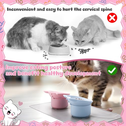 Gamelles surélevées chat anti-vomissement avec tapis silicone bleu rose