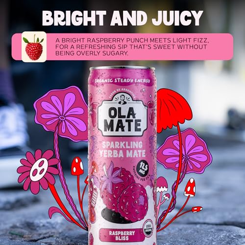 Image of Yerba Mate Energy Drink - Low Sugar Sparkling Tea Cans with Ashwagandha, Lion's Mane, USDA Organic Clean Energy Drink with 125mg Natural Caffeine, Ola Mate Raspberry Bliss