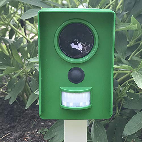 The Big Cheese Mega-Sonic® Solar Cat Repeller – Effective Humane Alternative - Professional Motion-Activated Ultrasonic Cat Repellent for Gardens UK - Outdoor Solar Powered Deterrent - Image 9