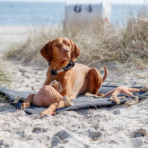 TRIXIE Liegematte BE Nordic Föhr 70x55 cm in schwarz – hochwertiges Hundebett für mittelgroße & kleine Hunde - große Hundedecke aus robustem Stoff in Canvas-Haptik - waschbar – 37438