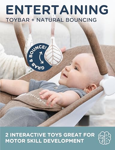 Image of Baby Delight Highland Baby Bouncer | Infant | 0 - 6 Months | 3-Position Recline | Mocha Tweed
