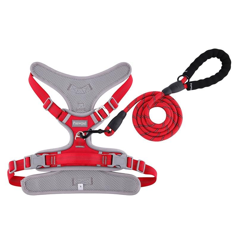 Dog Harness and Leash Set – Adjustable Dog Collar and Vest Harness for Dogs, Durable Pechera para Perros Medianos – Arnes Perro with Leash– S, M, L, XL Dog Harness and Leash Set - Image 3