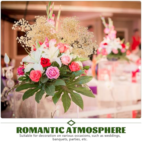 Ramo de Flores Secas Gypsophila Blanco 44Cm 40G miniatura 7