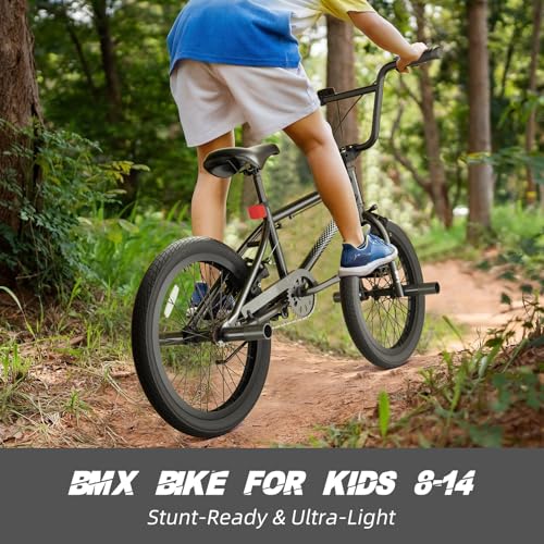 67i BMX Bike with Pegs
