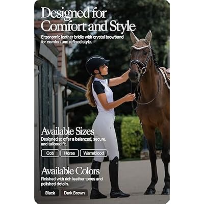 HORZE Clermont Ergonomic Padded Genuine Leather Snaffle Bridle for Horses | Flash Noseband Included - Black - Horse
