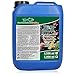 Produktbild GartenteichDirekt Teichklar Teichklärer für den Gartenteich 5 Liter (Klärer gegen grünes und trübes Teichwasser, klares Wasser im Gartenteich)