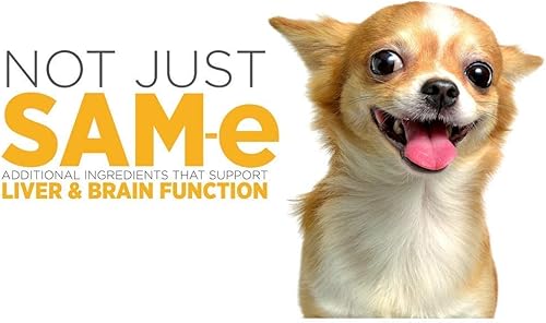 Miniatura 3 de maxxipaws SAM-e Digest Bundle  MaxxiSAMe Advanced SAM-e Apoyo SAM-e para perros y maxxidigest+ suplemento digestivo e inmunológico canino