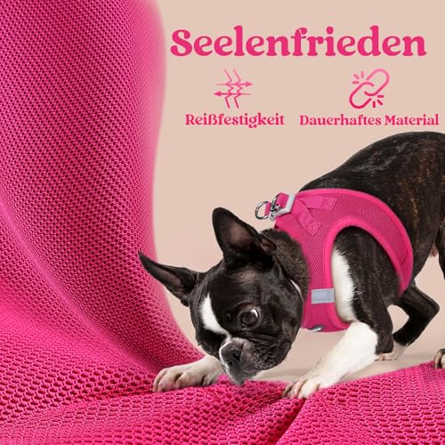 rabbitgoo Hundegeschirr Kleine Hunde, Step-in Welpengeschirr Weich Mesh für Spaziergänge, Atmungsaktives und Reflektierendes Brustgeschirr für Kleine und Mittelgroße Hunde, Rosarot, XS