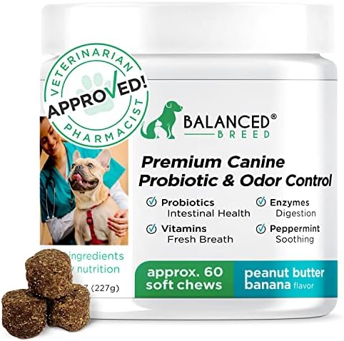 Balanced Breed Dog Probiotics Digestive Enzymes Pet Probiotics Dogs Digestive Health Dog Probiotics Yeast Itchy Skin Itchy Ears Dog Probiotic Supplements Dog Gut Health Dog Probiotics Diarrhea Relief