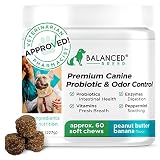 Balanced Breed Dog Probiotics Digestive Enzymes Pet Probiotics Dogs Digestive Health Dog Probiotics