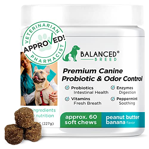 Balanced Breed Dog Probiotics Digestive Enzymes Pet Probiotics Dogs Digestive Health Dog Probiotics Yeast Itchy Skin Itchy Ears Dog Probiotic Supplements Dog Gut Health Dog Probiotics Diarrhea Relief #TOP10