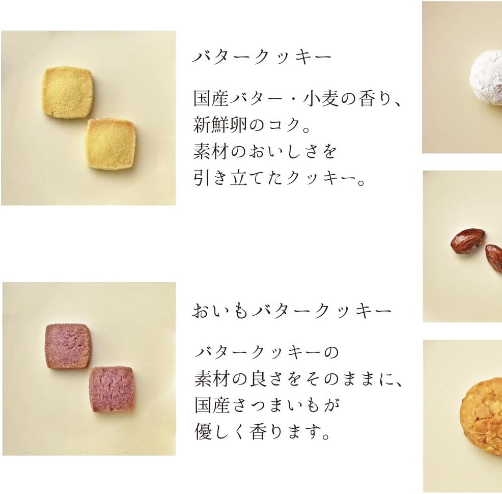 クッキー缶 ギフト 銀河クッキー 詰め合わせ くまときのこ缶 お菓子のミカタ クッキー 缶 缶入り クッキー 缶 かわいい ホワイトデー お返し