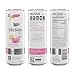 CELSIUS Fizz Free Pink Lemonade, Sugar Free Energy Drink, 12 Fl Oz (Pack of 12)