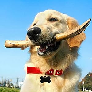 30 pcs black bone shape pet id tag with key ring 38mm blank personalized aluminium pendants tag dog cat pet name phone number id tag charm for dogs cats name craft tag   cucciolini doodles