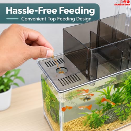Image of SANSEFERO Mini Aquarium with Filter Pump Betta Tank Ideal for Home, Office Decoration Mini Table Aquarium for Turtle, Small Fishes & Bettas (ZG-001) - Stones & Plants Not Inlcuded