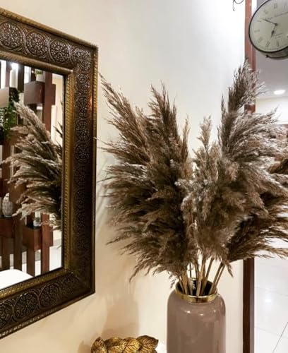 Pampas Grass Grande 60CM, 20 Tallos Secos miniatura 5